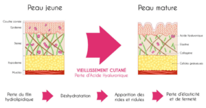 Evolution de la qualité de la peau avec l'âge. 