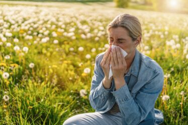 Pollen : Comment s’en protéger naturellement ?